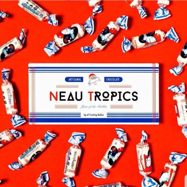 neautropics